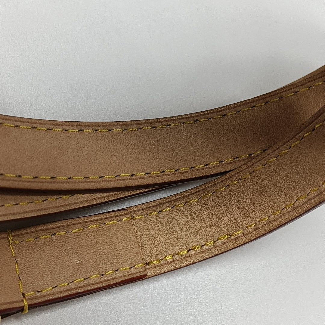 SPEEDY 25 Monogram Coated Canvas Brown