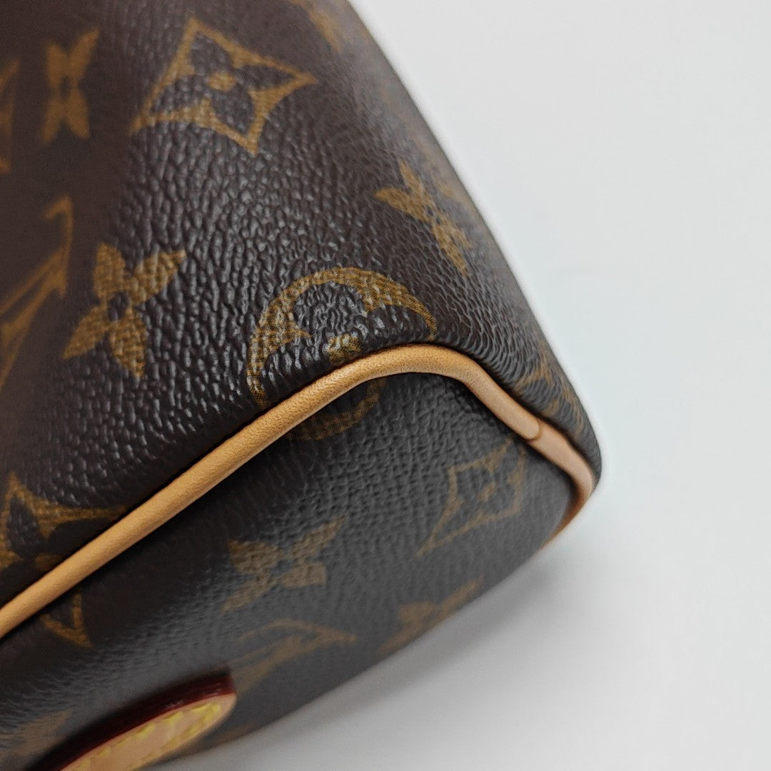 SPEEDY Nano Monogram Coated Canvas Brown