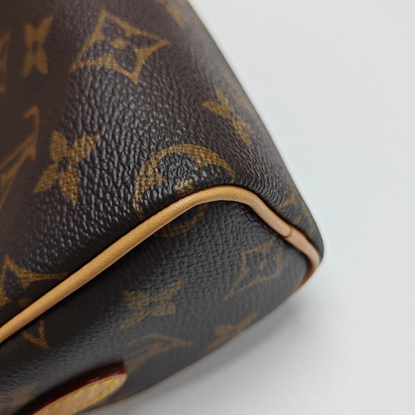 SPEEDY Nano Monogram Coated Canvas Brown