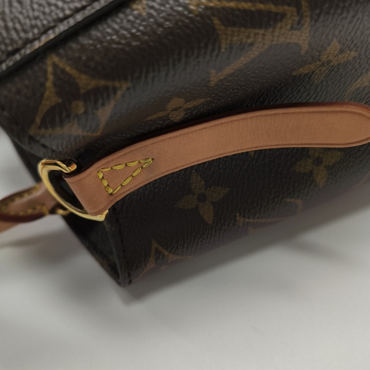 MONTAIGNE Monogram Coated Canvas Brown
