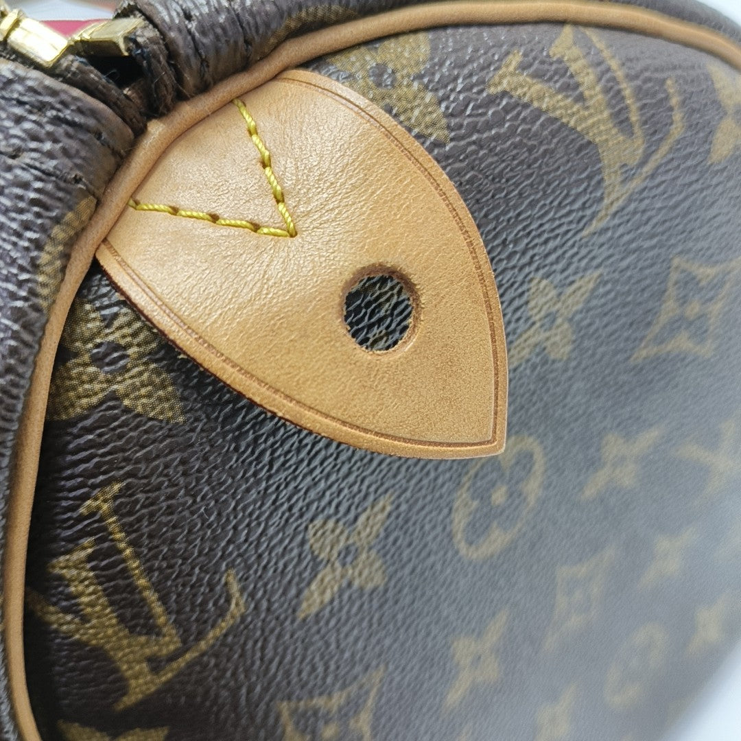 SPEEDY 30 Monogram Coated Canvas Brown