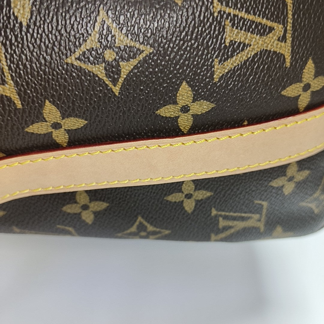 SPEEDY 25 Monogram Coated Canvas Brown