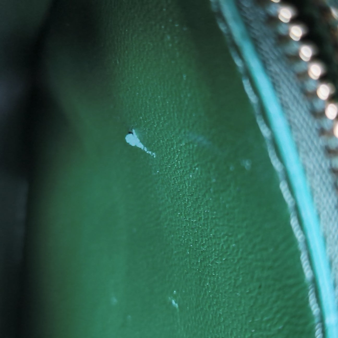 TRIOMPHE Medium Calfskin Green