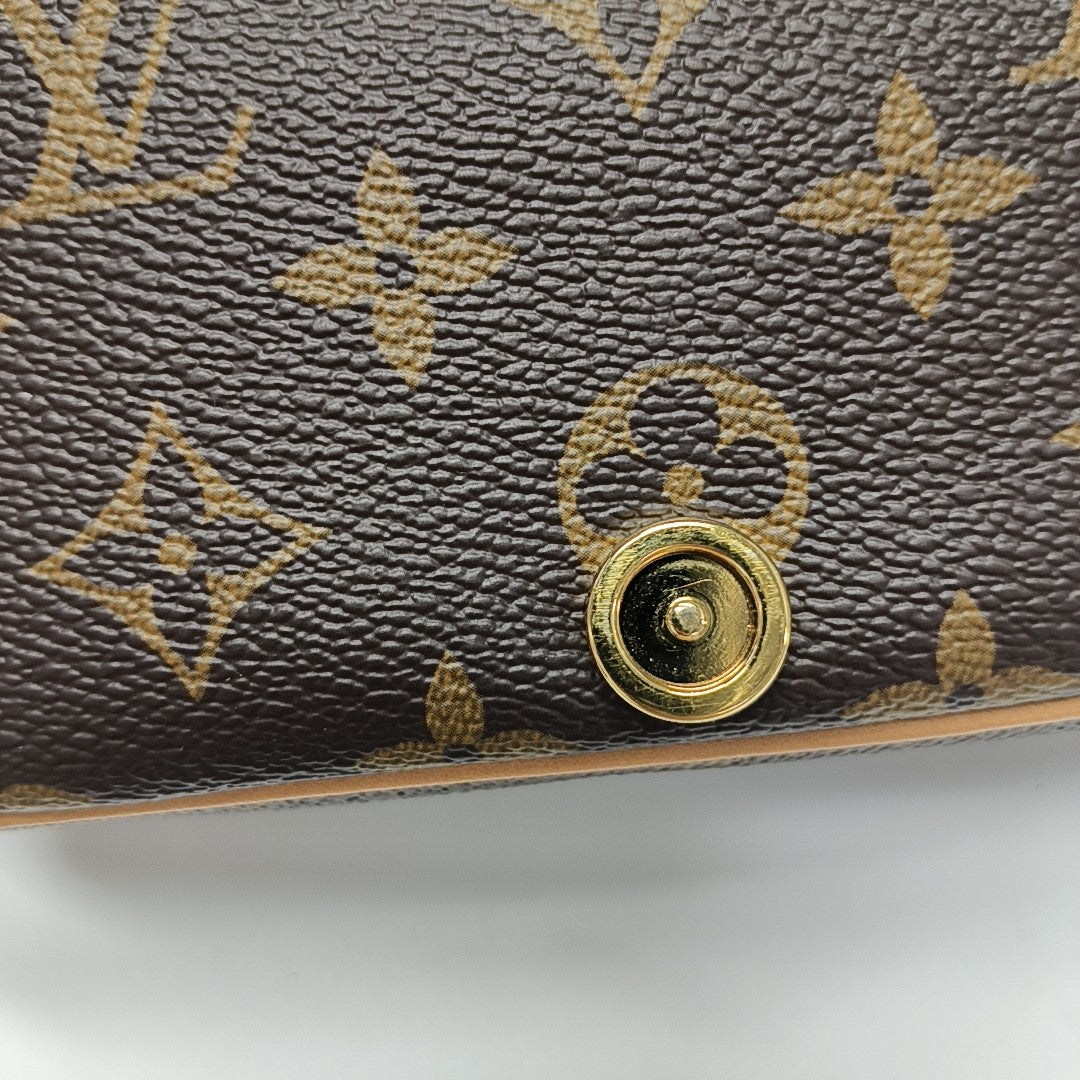 DIANE Nano Monogram Coated Canvas Brown