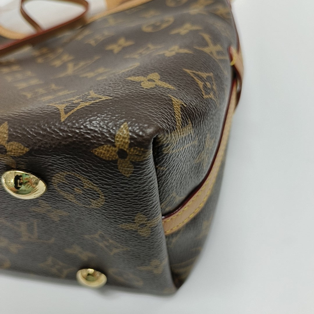 CARRYALL PM Monogram Coated Canvas Brown