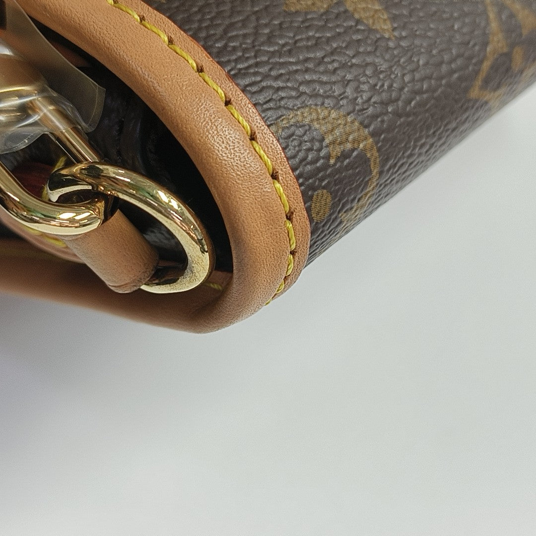 DIANE Nano Monogram Coated Canvas Brown