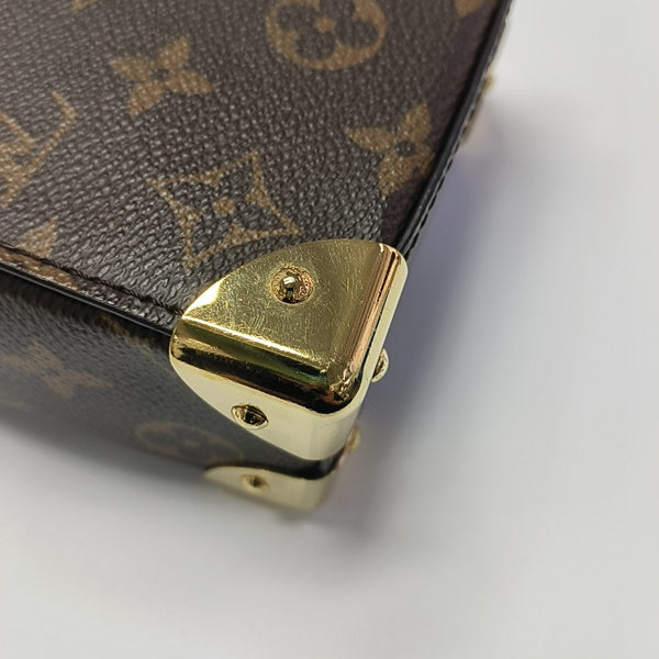 CAMERA BOX Monogram Coated Canvas Brown