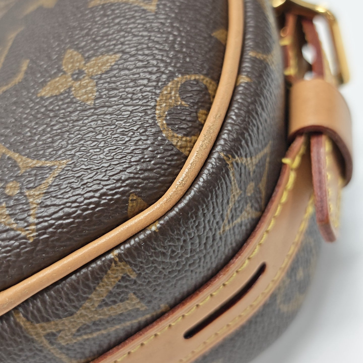 BOITE CHAPEAU MM Monogram Coated Canvas Brown