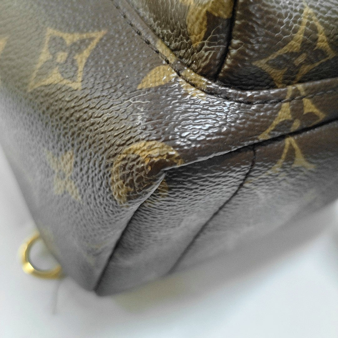 PALM SPRINGS Mini Monogram Coated Canvas Brown