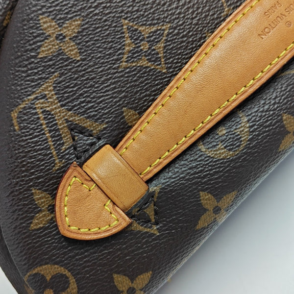 BUMBAG Monogram Coated Canvas Brown