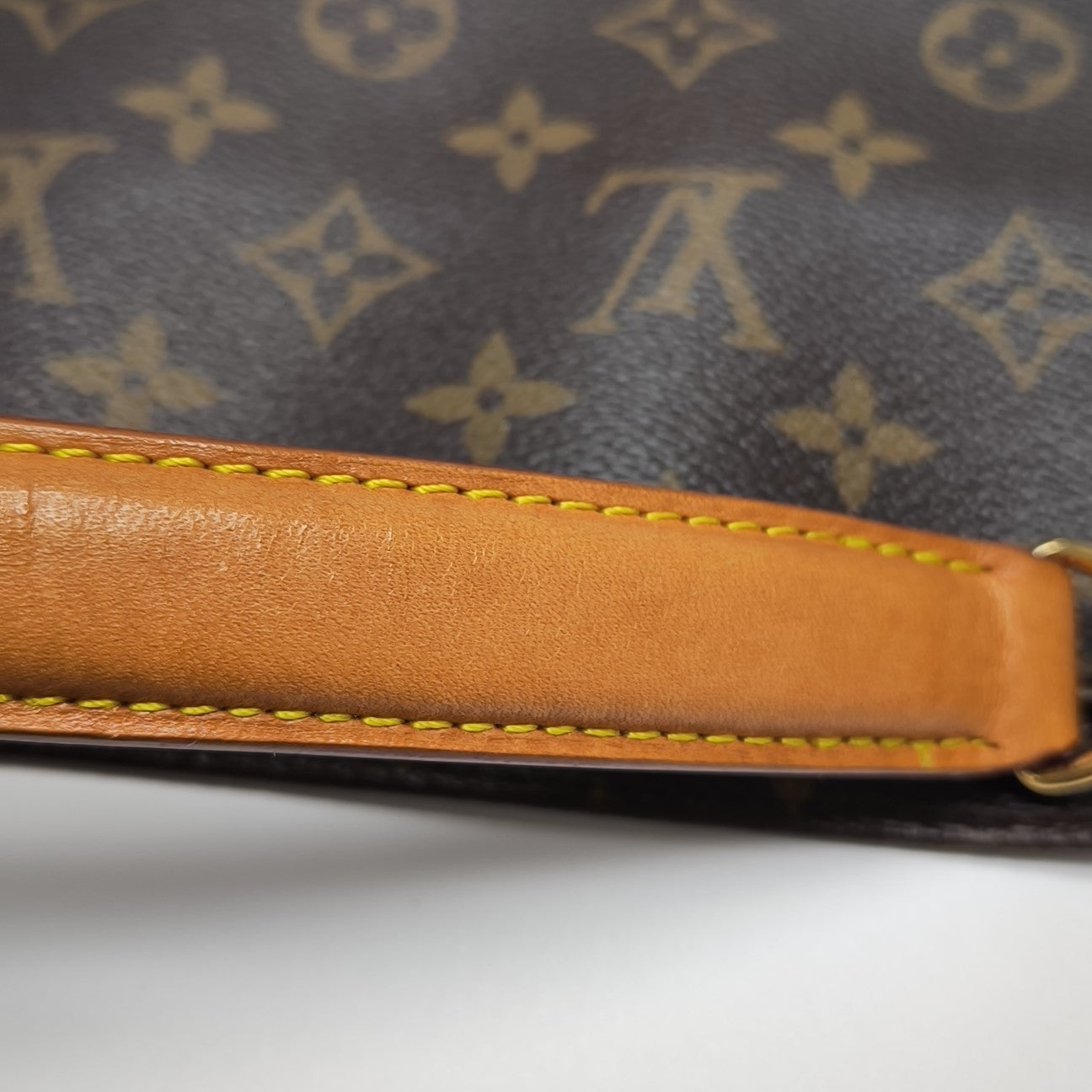 MÉTIS Monogram Coated Canvas Brown