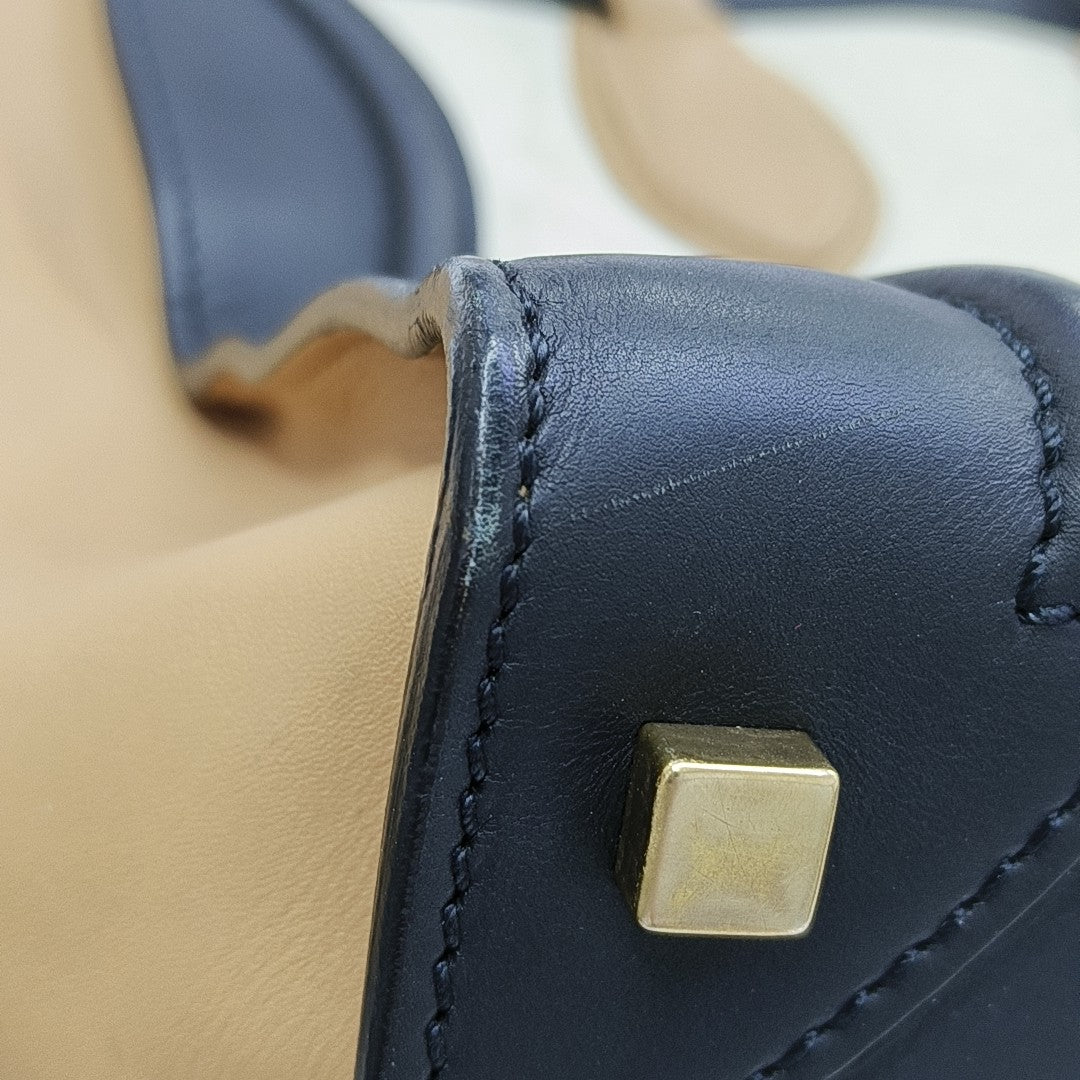 LUGGAGE Mini Calfskin Multicolor