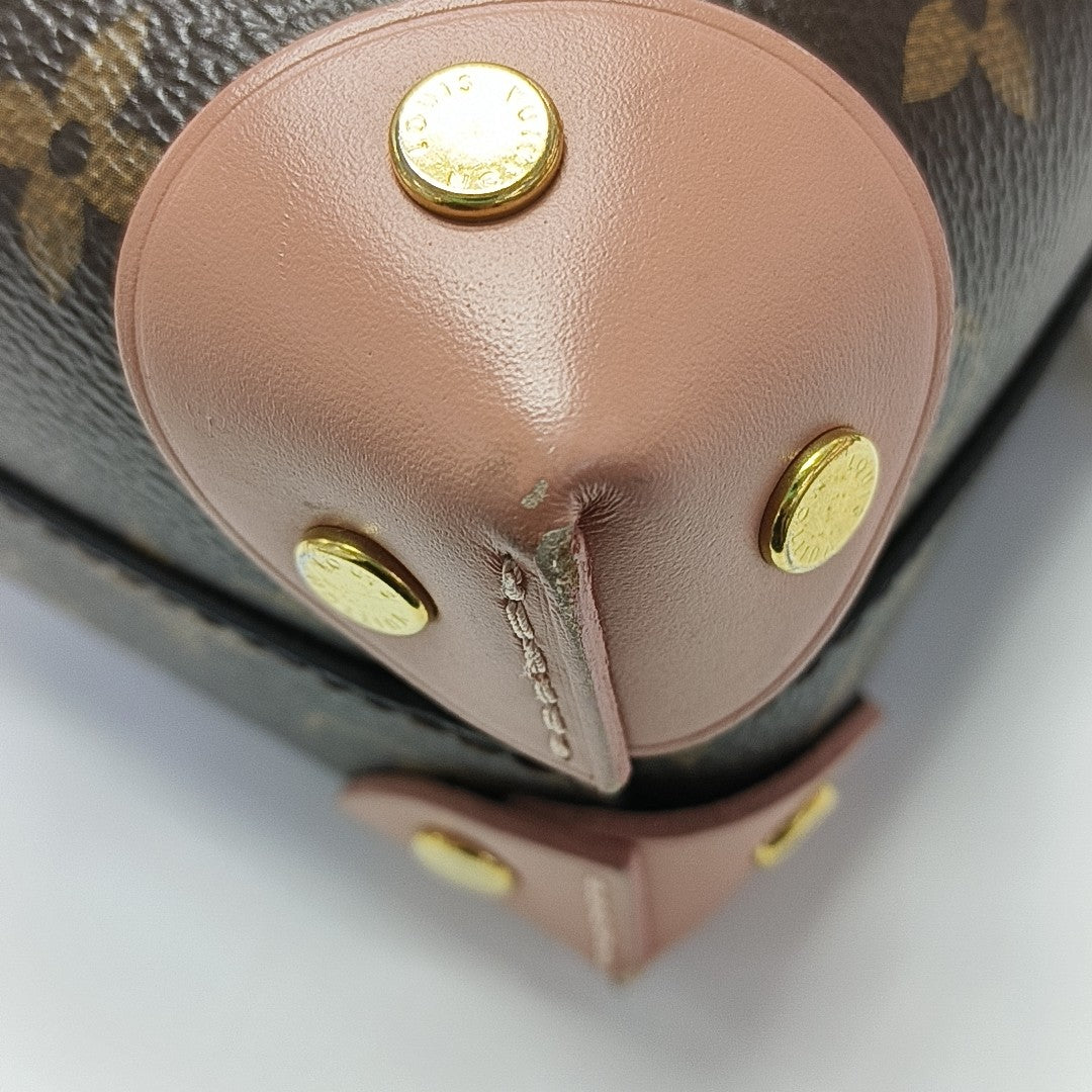PETITE MALLE Monogram Coated Canvas Brown