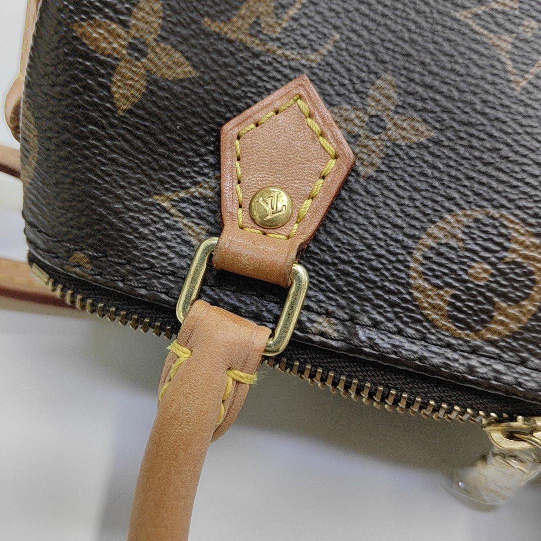 SPEEDY Nano Monogram Coated Canvas Brown