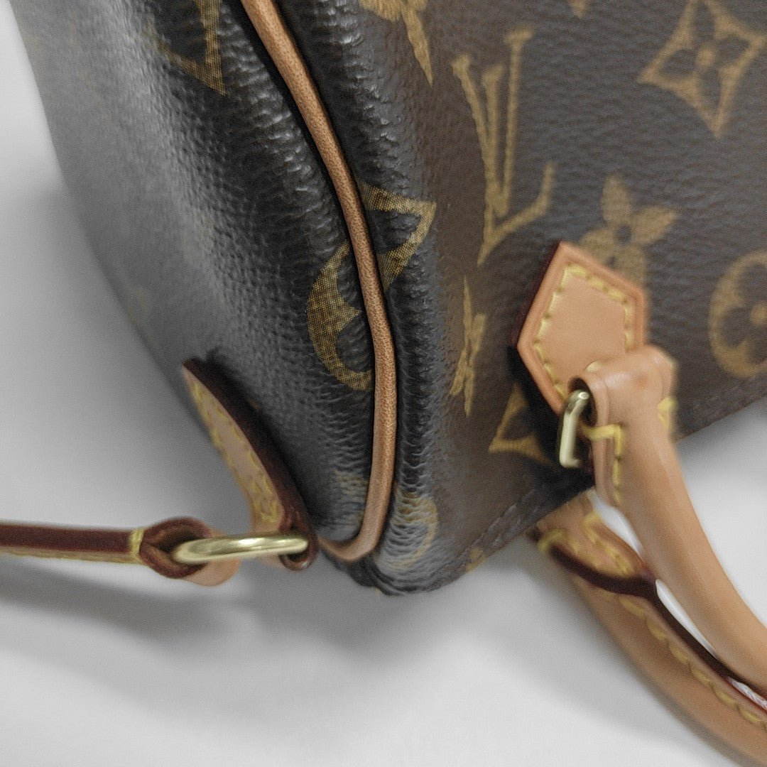 SPEEDY Nano Monogram Coated Canvas Brown
