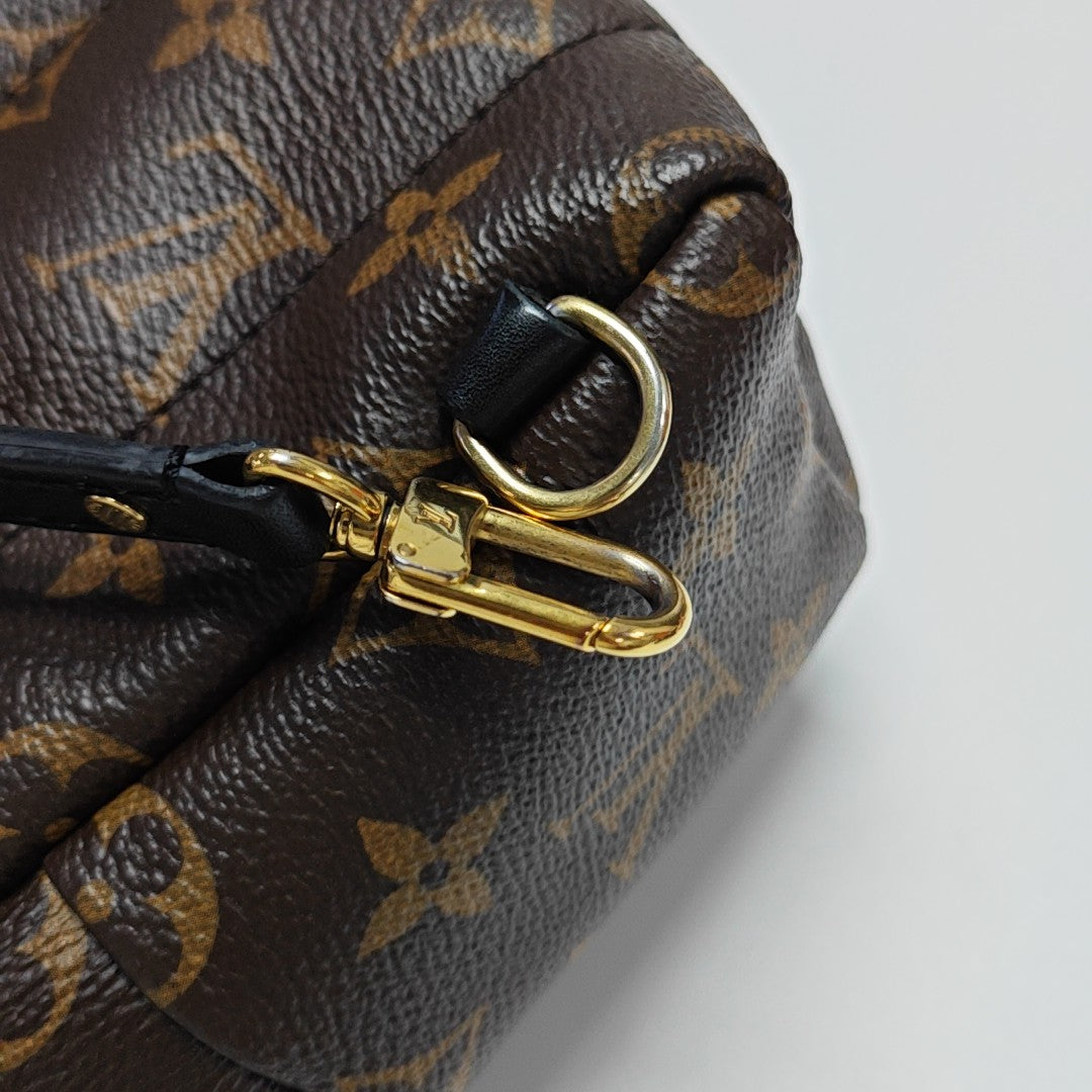 PALM SPRINGS Mini Monogram Coated Canvas Brown