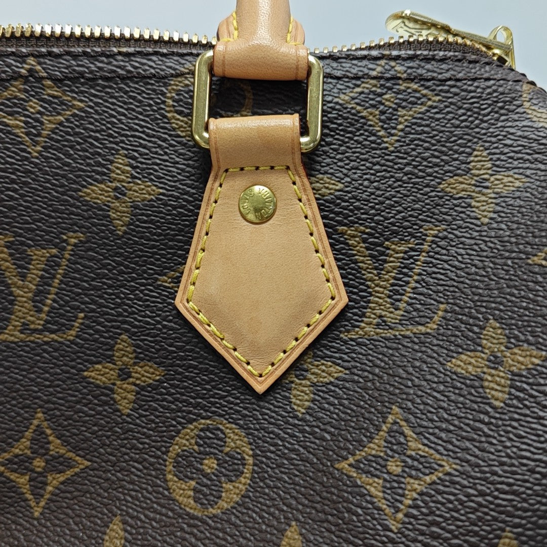 SPEEDY 25 Monogram Coated Canvas Brown