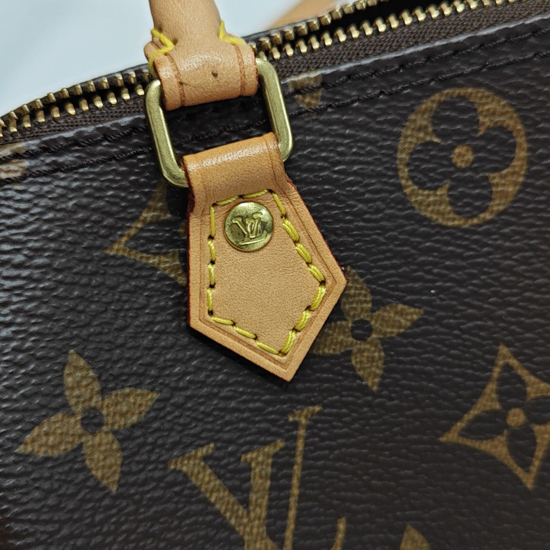 SPEEDY Nano Monogram Coated Canvas Brown