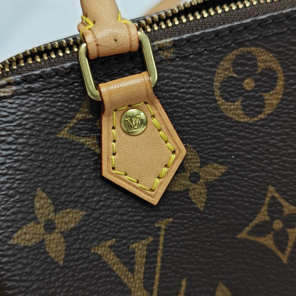 SPEEDY Nano Monogram Coated Canvas Brown