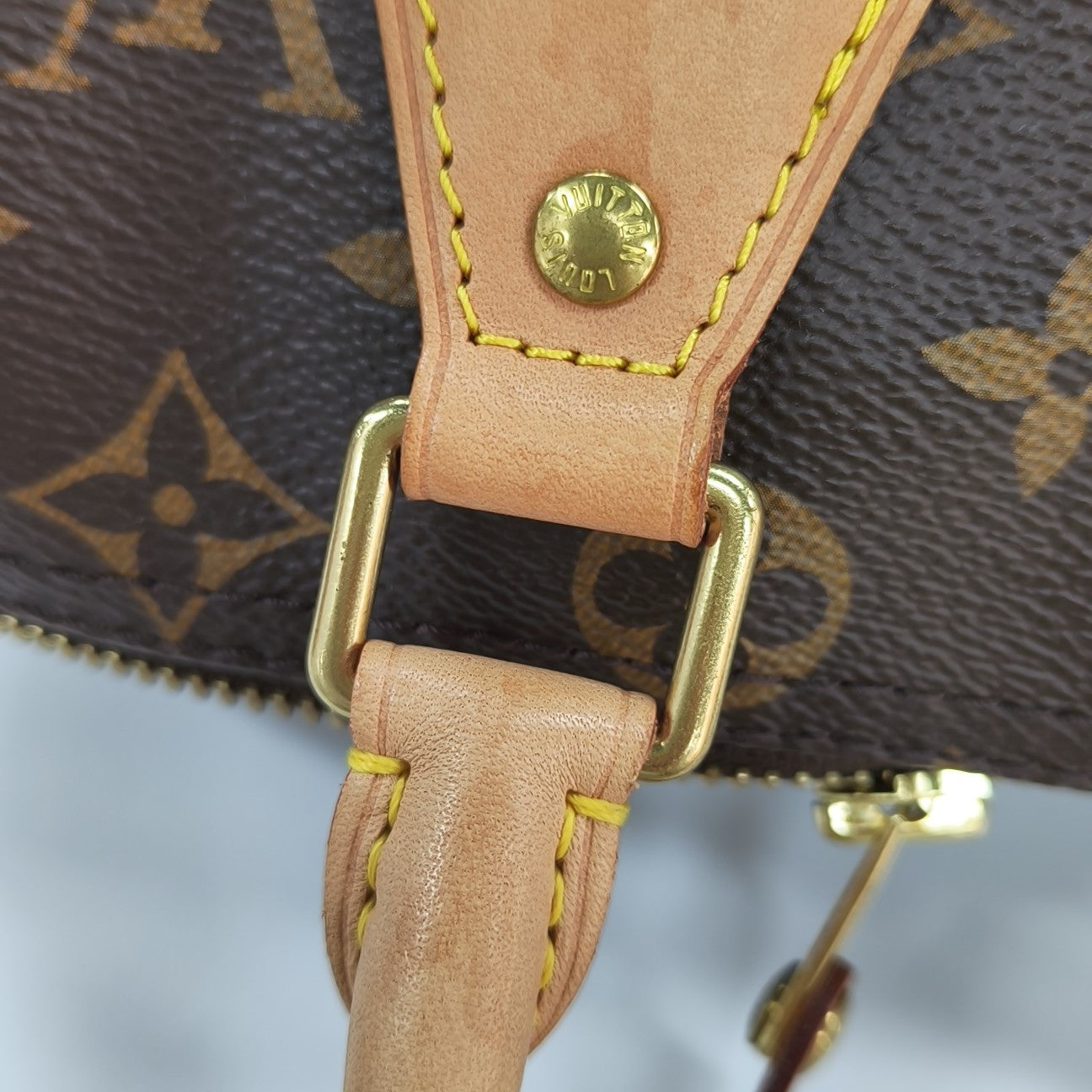 SPEEDY 25 Monogram Coated Canvas Brown