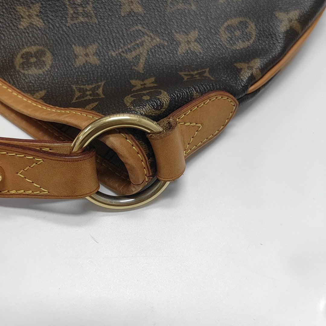 DELIGHTFUL Monogram Coated Canvas Brown