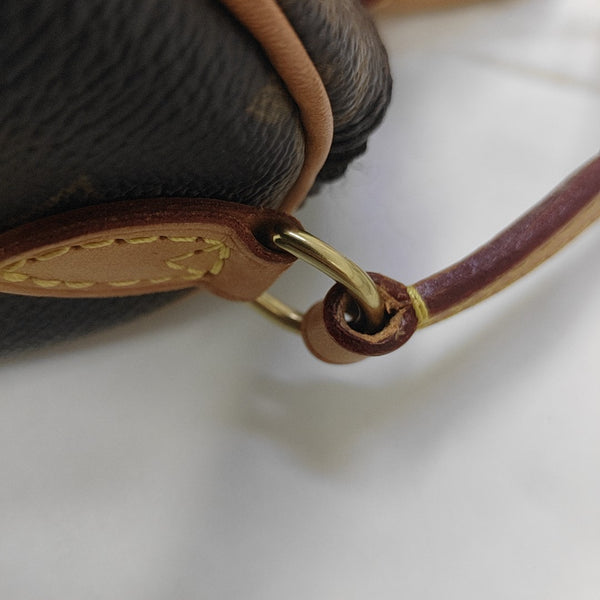 SPEEDY Nano Monogram Coated Canvas Brown