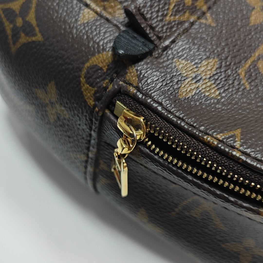 PALM SPRINGS Mini Monogram Coated Canvas Brown