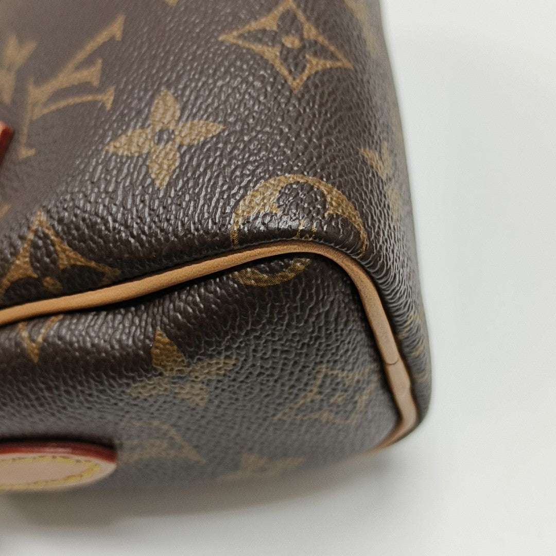 SPEEDY Nano Monogram Coated Canvas Brown