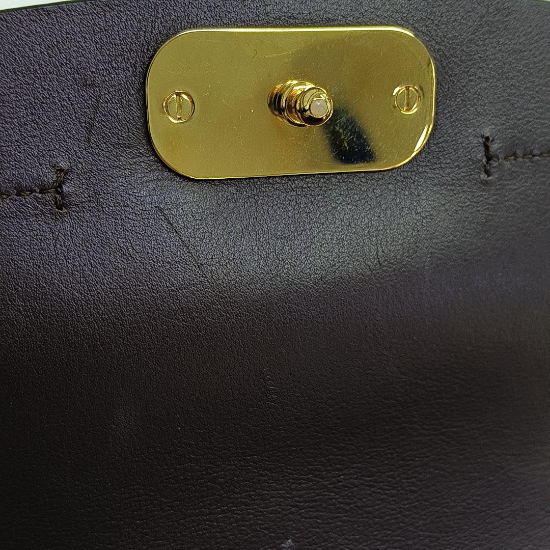Chloé C Calfskin Multicolor