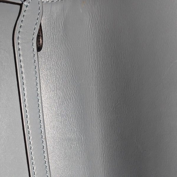 Barcelona Medium Calfskin Blue