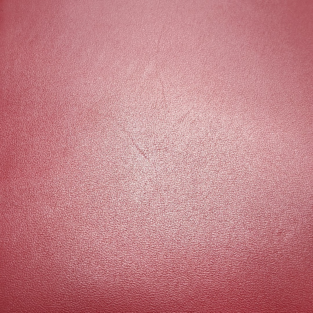 Sylvie Mini Calfskin Red