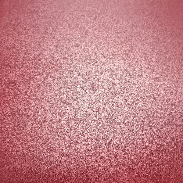 Sylvie Mini Calfskin Red