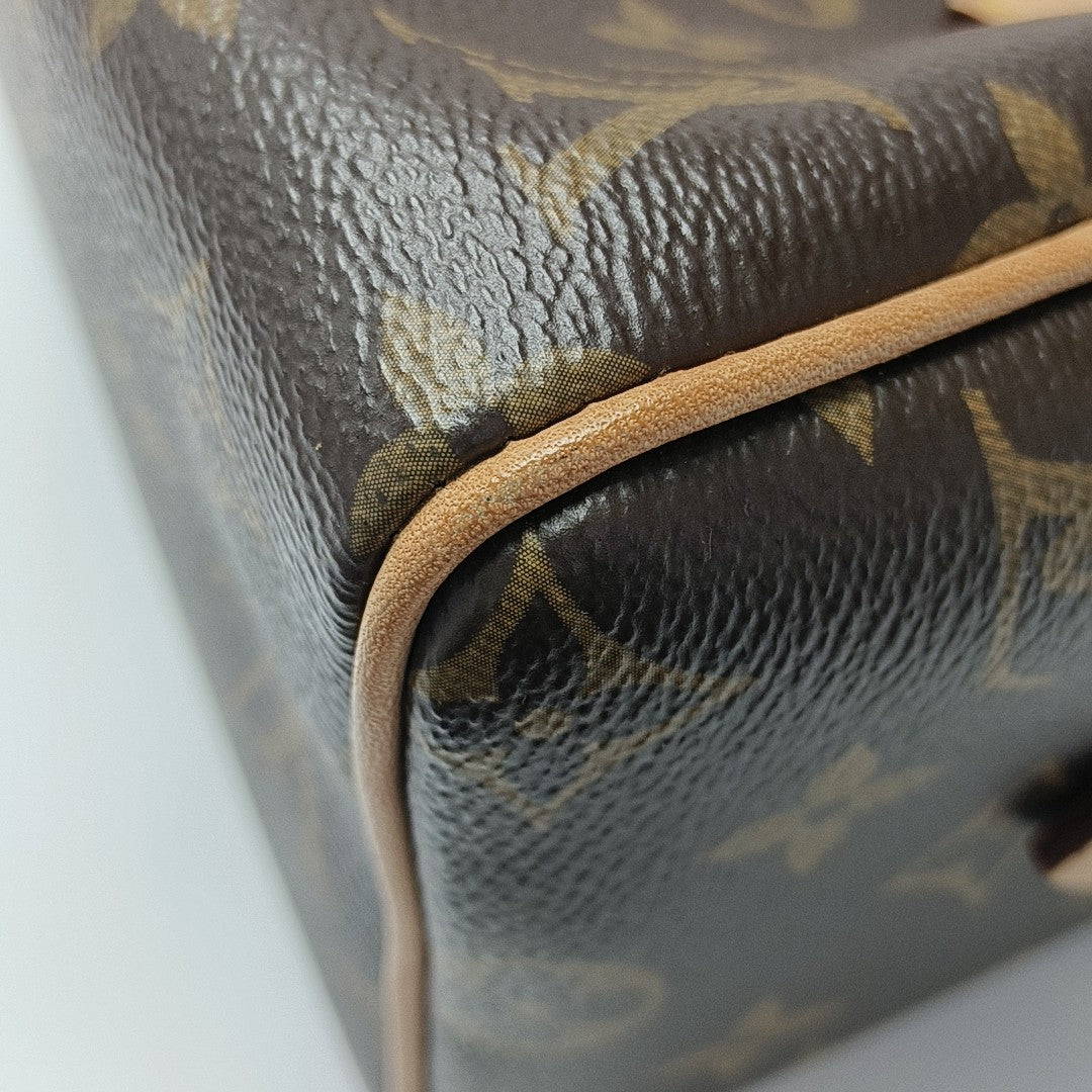 SPEEDY 20 Monogram Coated Canvas Brown
