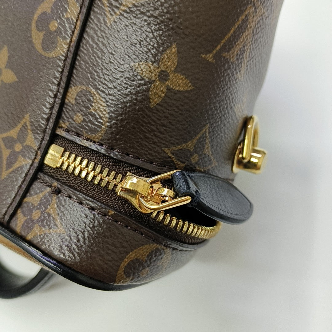 VANITY PM Monogram Coated Canvas Brown