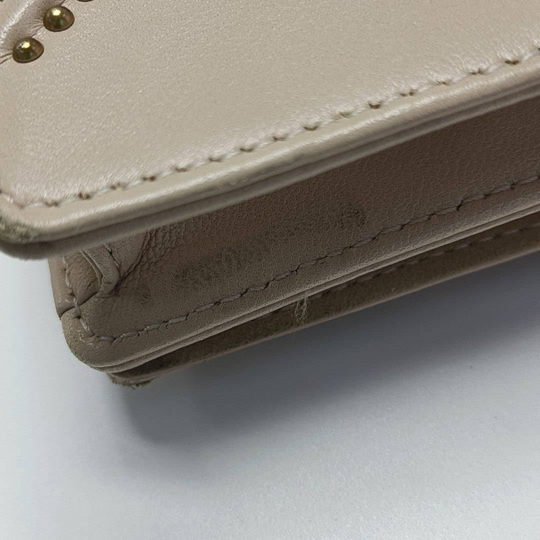 Diorama Lambskin Pink