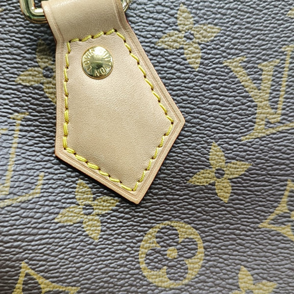 SPEEDY 20 Monogram Coated Canvas Brown