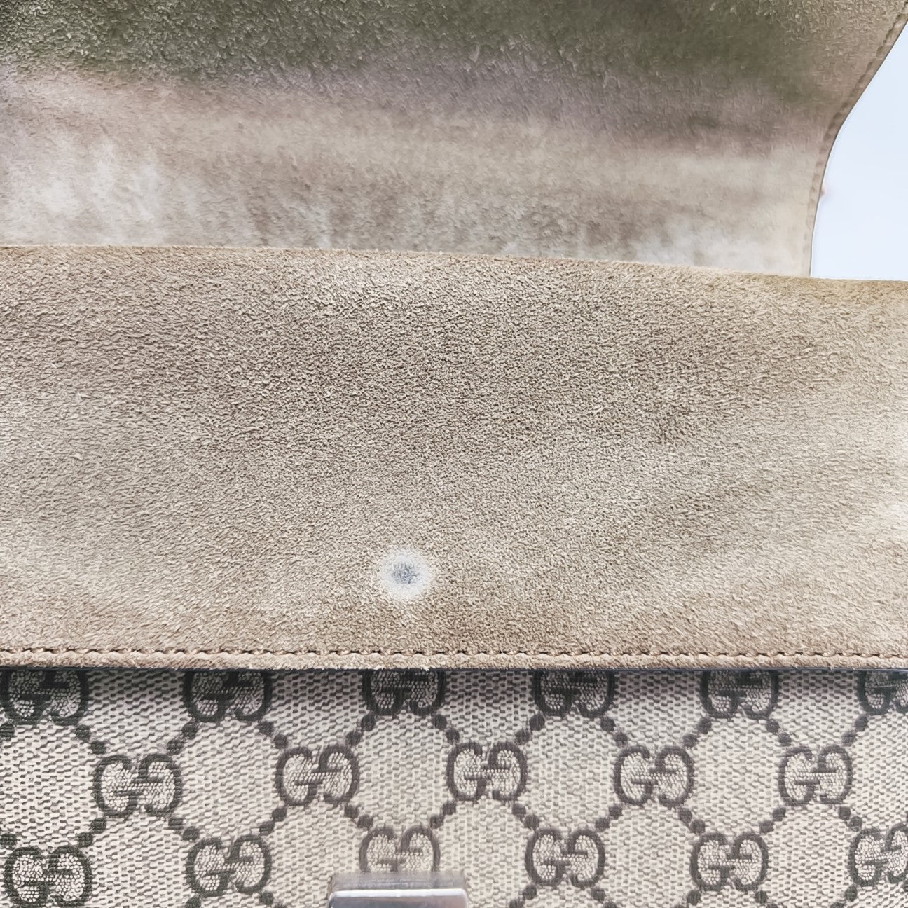 Dionysus Mini Monogram Coated Canvas Beige
