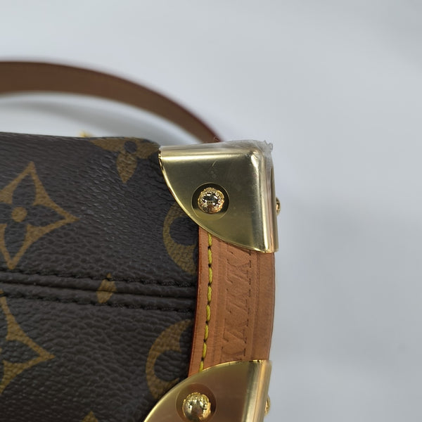 SIDE TRUNK PM Monogram Coated Canvas Brown