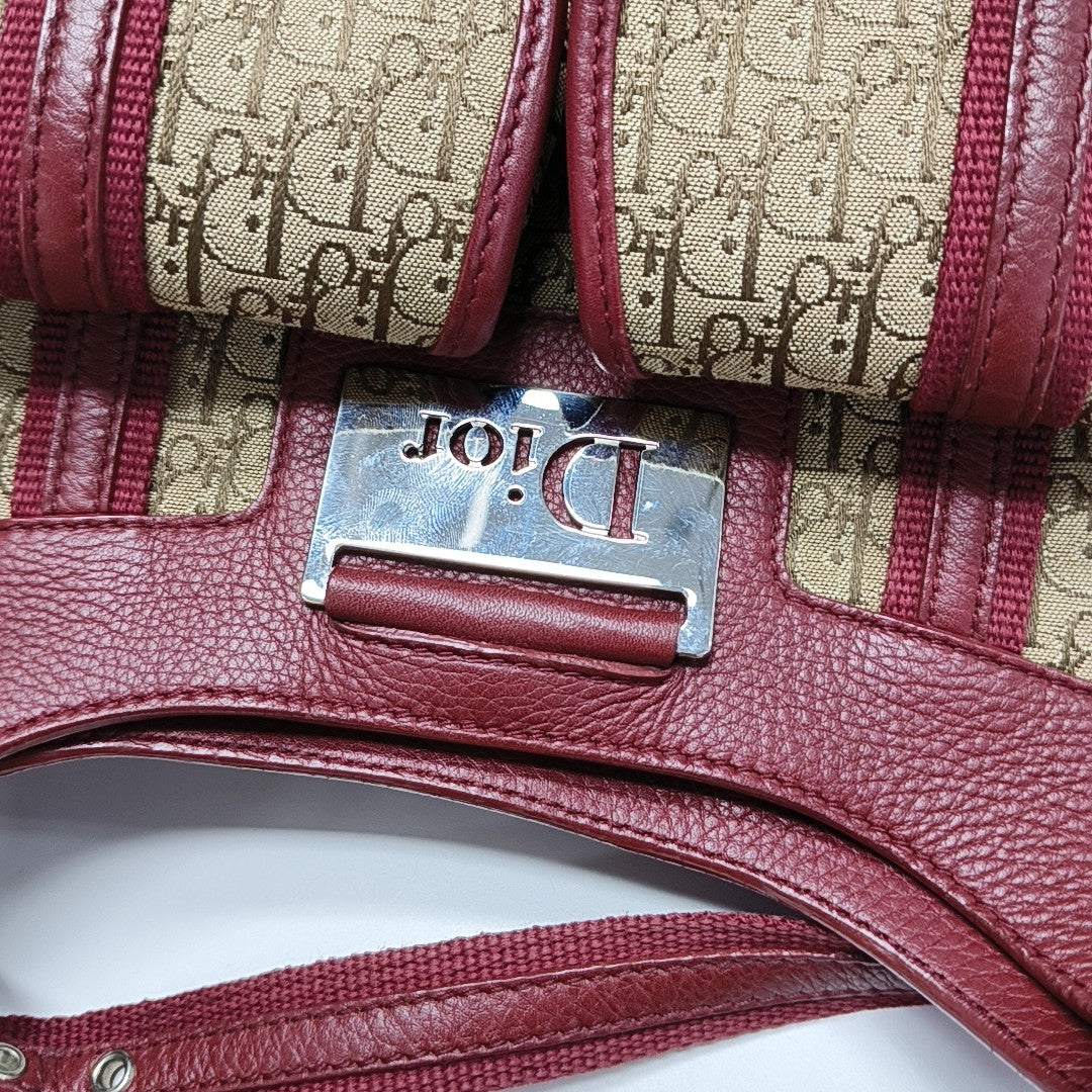 Street Chic Oblique Canvas Brown