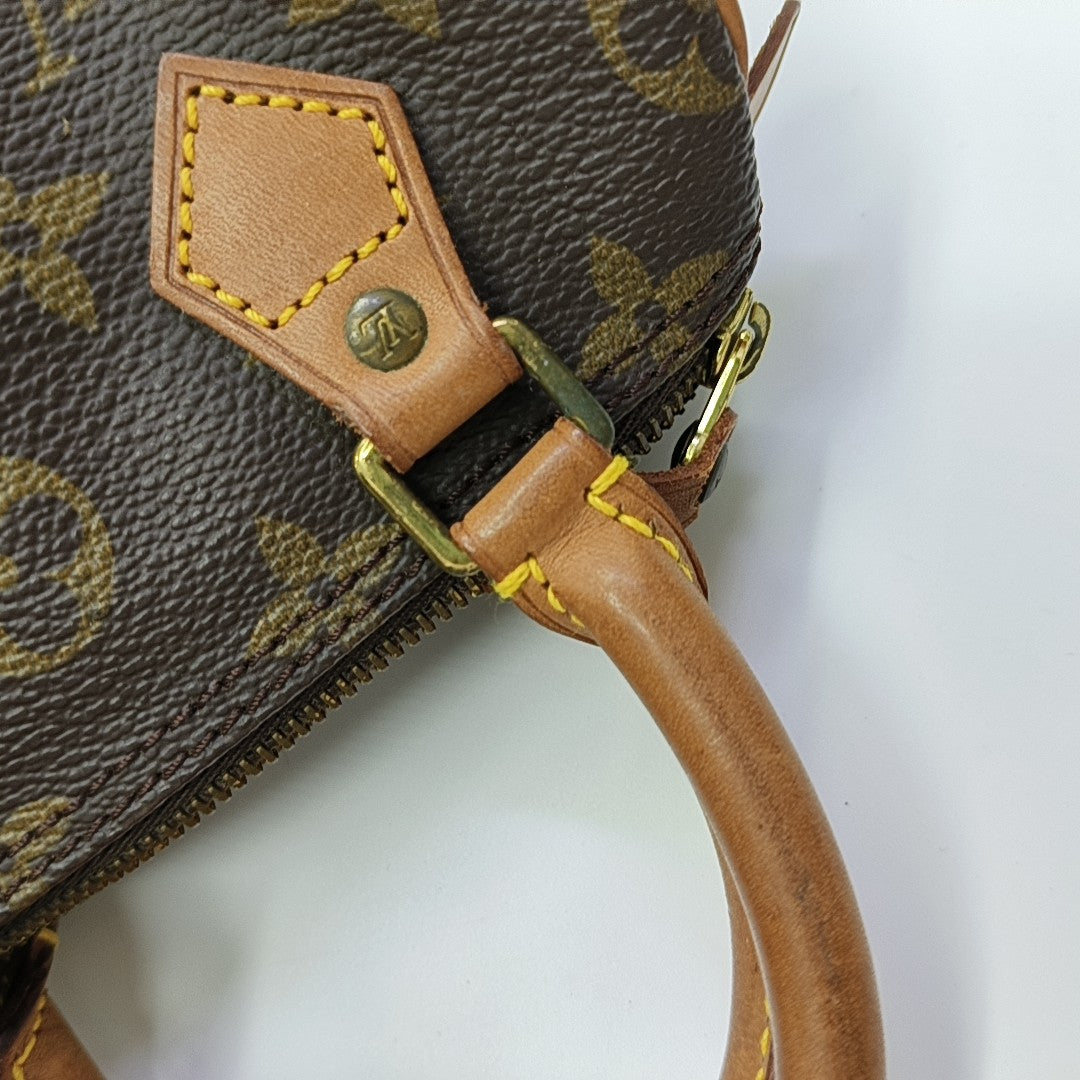 SPEEDY Nano Monogram Coated Canvas Brown