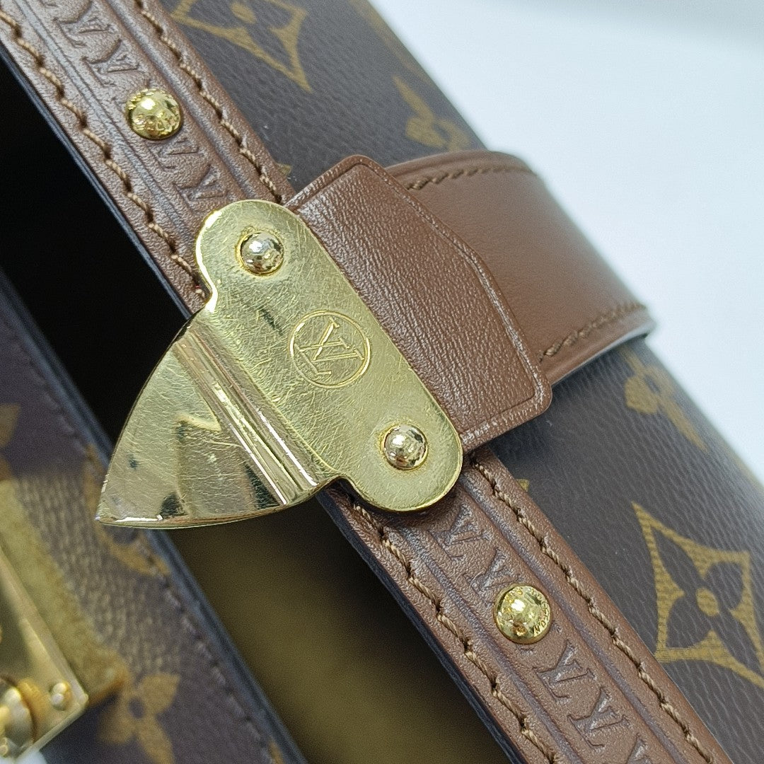 PAPILLON 19 Monogram Coated Canvas Brown