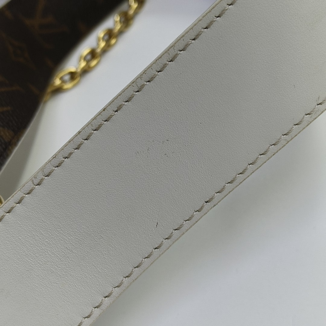 PAPILLON 19 Monogram Coated Canvas Brown