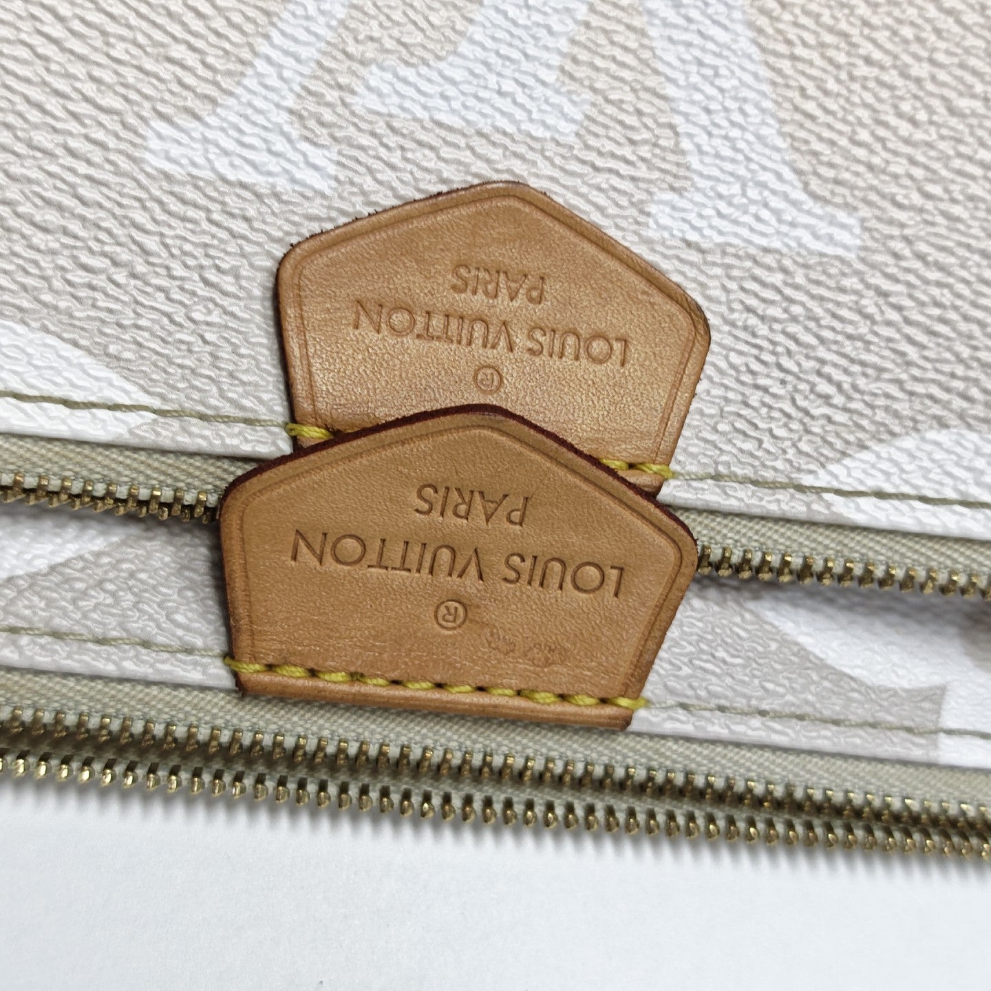 MULTI Monogram Coated Canvas Beige