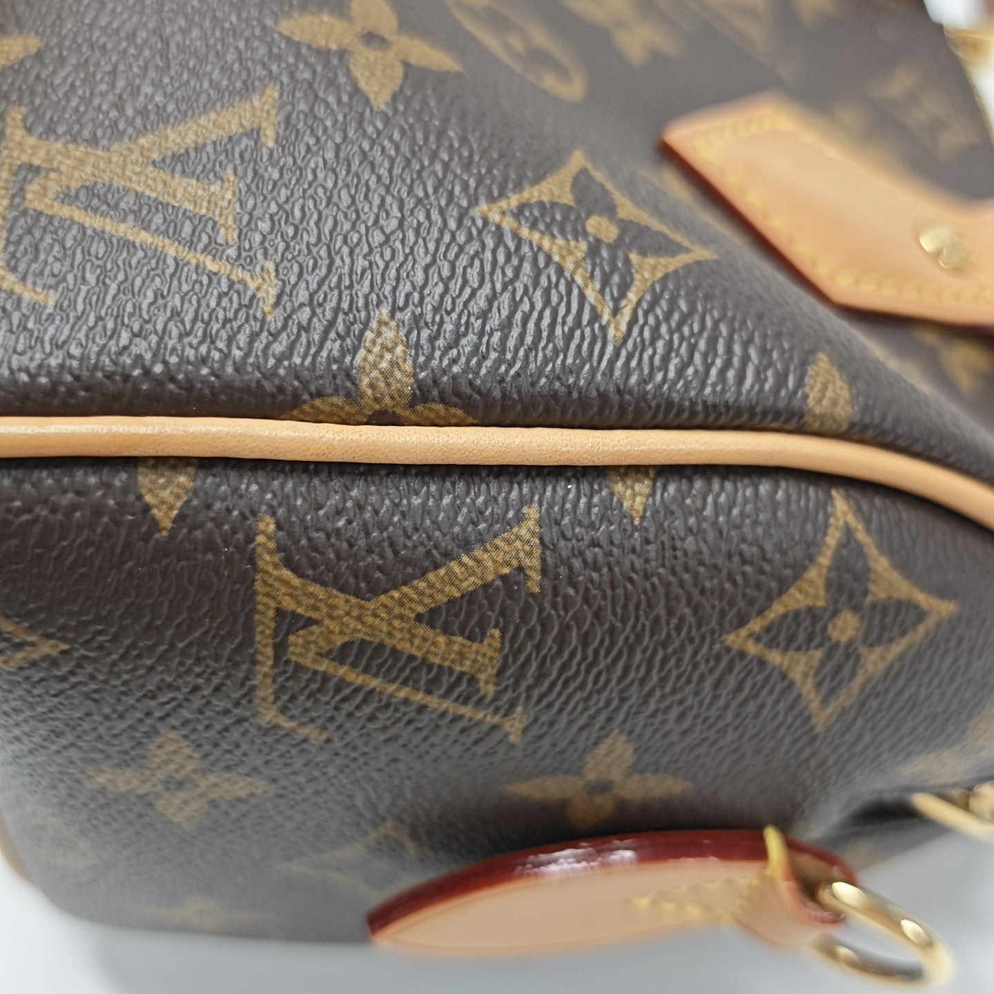 SPEEDY 20 Monogram Coated Canvas Brown