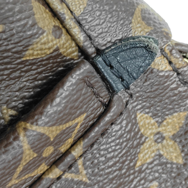 PALM SPRINGS Mini Monogram Coated Canvas Brown