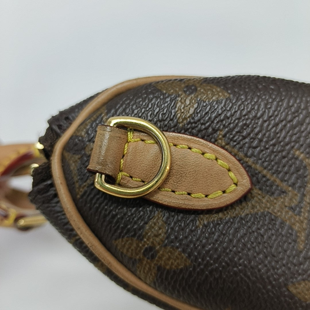 SPEEDY Nano Monogram Coated Canvas Brown