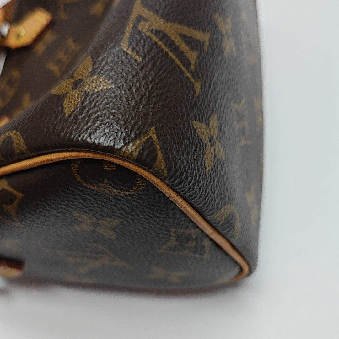 SPEEDY Nano Monogram Coated Canvas Brown