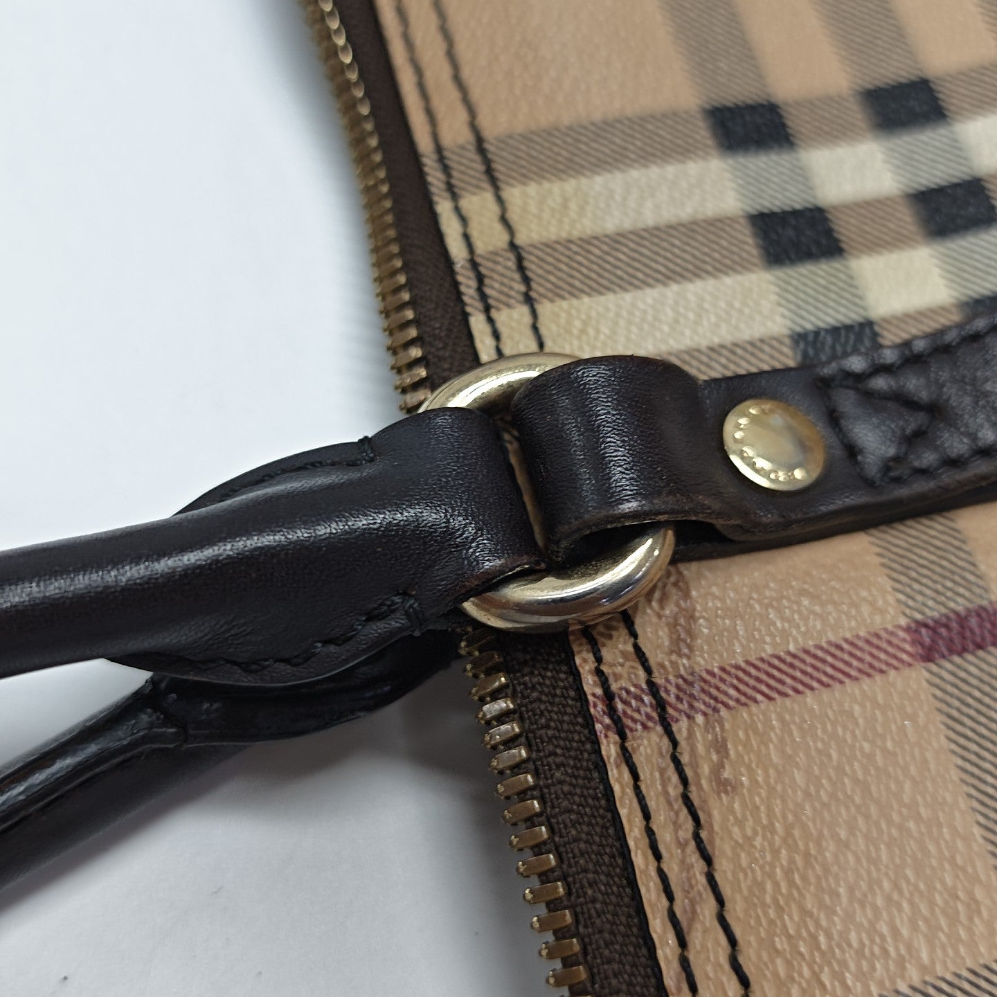 Salisbury Coated Canvas Beige