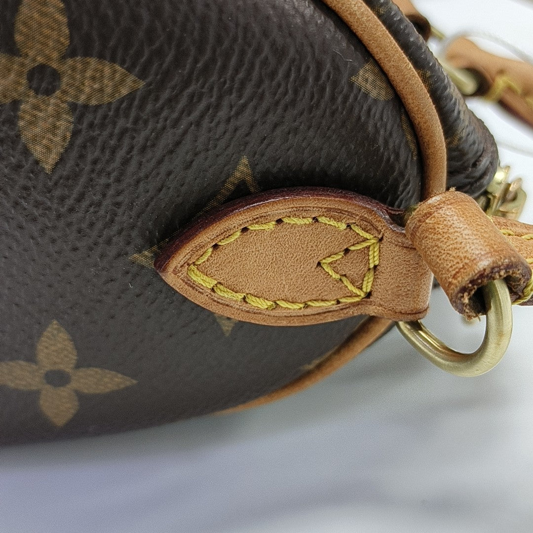 SPEEDY Nano Monogram Coated Canvas Brown