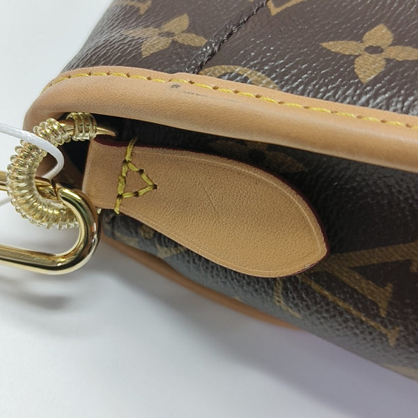 DIANE Monogram Coated Canvas Brown